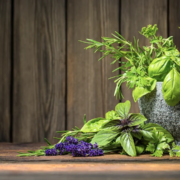 8-simple-ways-to-optimize-your-immune-system-banner