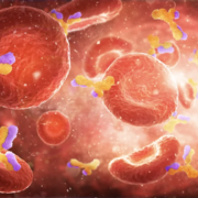 immune-system-peaceful-and-strong